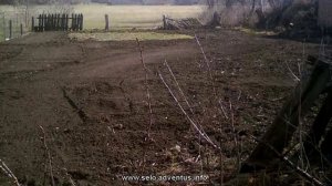 Фрезерование земли трактором. Навесная фреза. Вспашка фрезой