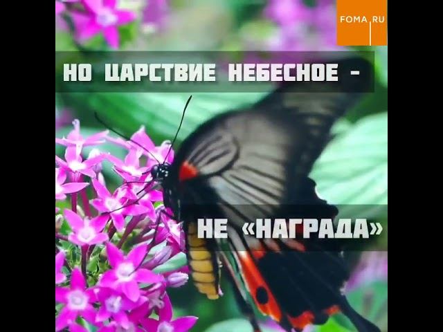 Новый номер журнала "Фома" смотреть онлайн