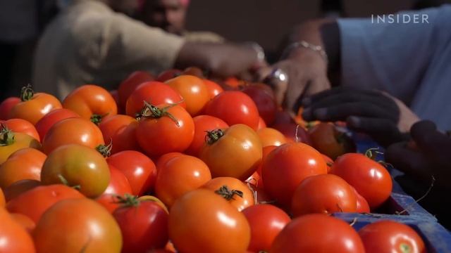 How Rotting Vegetables Make Electricity | World Wide Waste смотреть онлайн