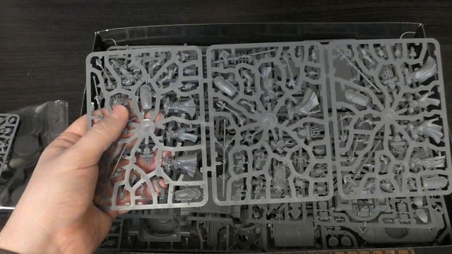 Adepta Sororitas - Battleforce - Unboxing (WH40K)