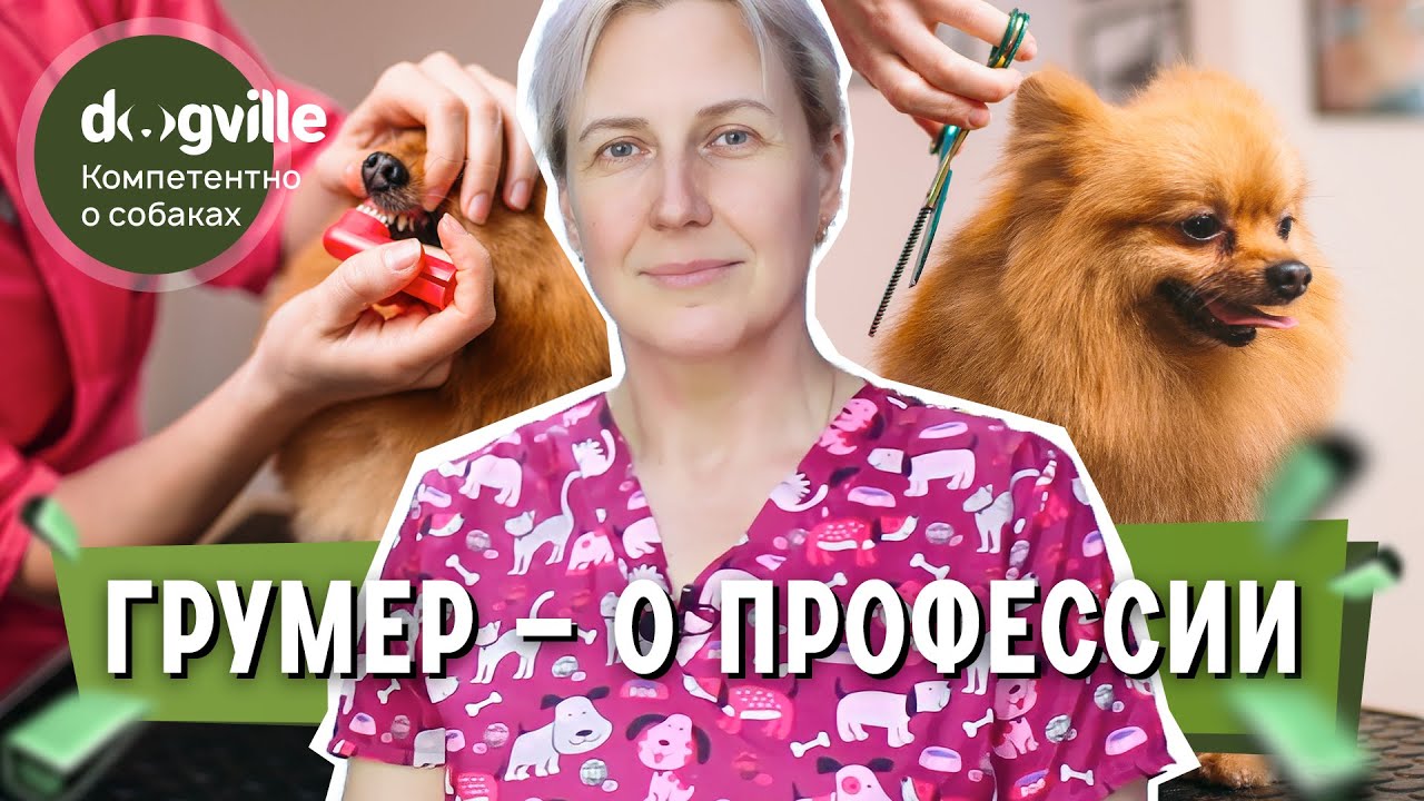 Грумер - О профессии смотреть онлайн
