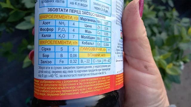 Желтеют листья!!! Хлороз голубики смотреть онлайн