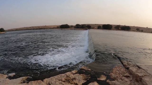 Lakes Park (Nature Sounds) ASMR: Lensgo LYM-DMM2 Shotgun 🎤