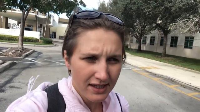 Где учиться в Америке? Лучшие вузы США смотреть онлайн