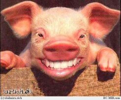 приколы нарезки??? смотреть онлайн