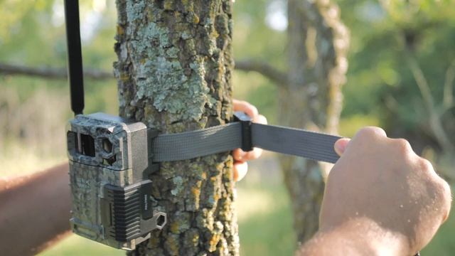The Benefits of Using a Cellular Trail Camera | Pro Tips by DICK'S смотреть онлайн