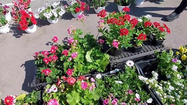А у нас на рынке так!А у Вас? смотреть онлайн