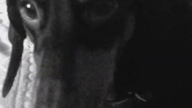 Tag:знакомство с Томасом . смотреть онлайн