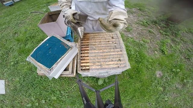 ОБНОВЛЯЕМ ГНЕЗДО ВОЩИНОЙ И УДЕРЖИВАЕМ ПЧЁЛ ОТ РОЕНИЯ. смотреть онлайн