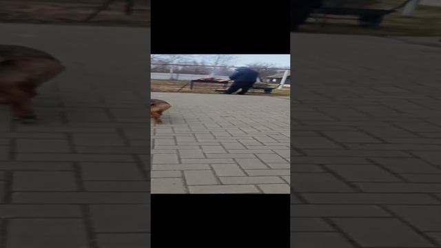 ГОНКИ смотреть онлайн