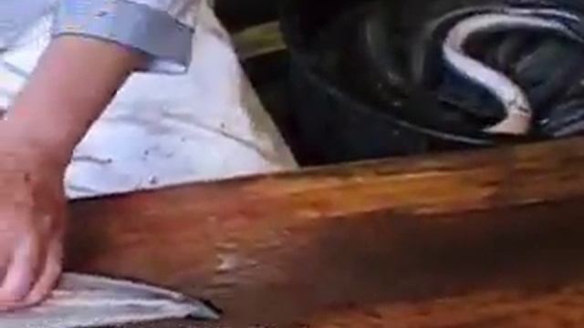 Разделка живого угря.mp4 смотреть онлайн