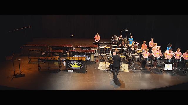 So What by P!NK - The Louisville Leopard Percussionists Steel Leopards смотреть онлайн