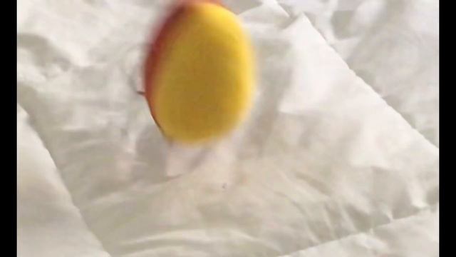 I ordered Countryball Plushies! смотреть онлайн