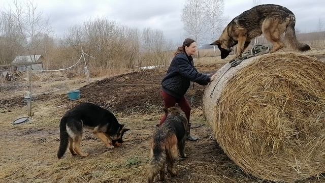 VID_20230402_124522.mp4 смотреть онлайн