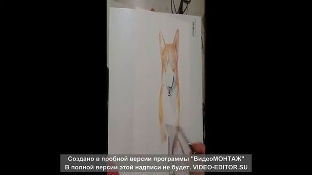 Корги монтаж рисунок акварелью смотреть онлайн