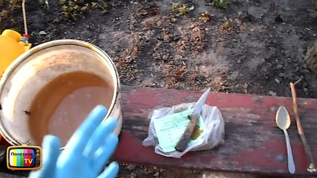 ПЕРВАЯ ОБРАБОТКА ВИНОГРАДА ВЕСНОЙ (ПОСЛЕ ОТКРЫТИЯ) смотреть онлайн
