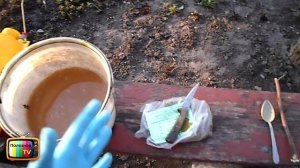 ПЕРВАЯ ОБРАБОТКА ВИНОГРАДА ВЕСНОЙ (ПОСЛЕ ОТКРЫТИЯ)