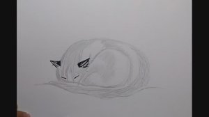 Как нарисовать кошку, свернувшуюся клубком \\ Как нарисовать кота карандашом