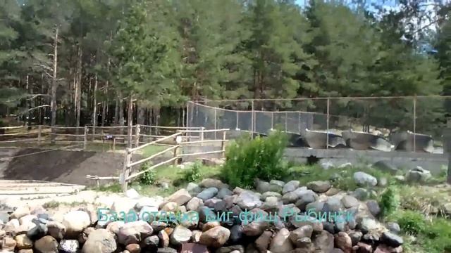 БИГ ФИШ - БАЗА ОТДЫХА НА РЫБИНСКОМ ВОДОХРАНИЛИЩЕ смотреть онлайн