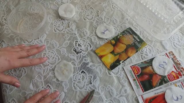ПЕРЕЦ. ЗАМАЧИВАНИЕ И ПРОРАЩИВАНИЕ СЕМЯН ПЕРЦА! смотреть онлайн