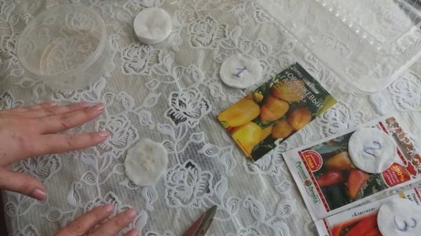 ПЕРЕЦ. ЗАМАЧИВАНИЕ И ПРОРАЩИВАНИЕ СЕМЯН ПЕРЦА!