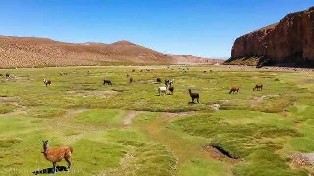 Chile 4K - Scenic Relaxation Film With Calming Music