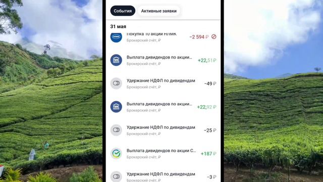 Первые дивиденды с российских акций. смотреть онлайн