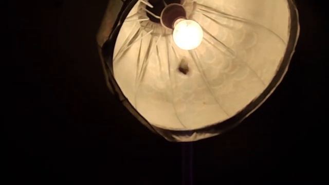 Lieve Vlinder In Mijn Kamer / Милая бабочка в моей комнате