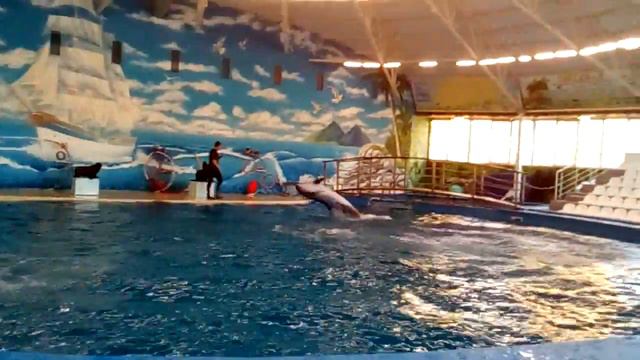 12 ноября 2016 г. смотреть онлайн