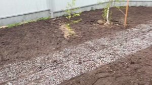 Посев газона, вносим удобрения в почву.