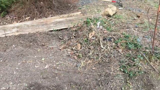 Весенняя уборка двора.Что строится в нашем городе смотреть онлайн