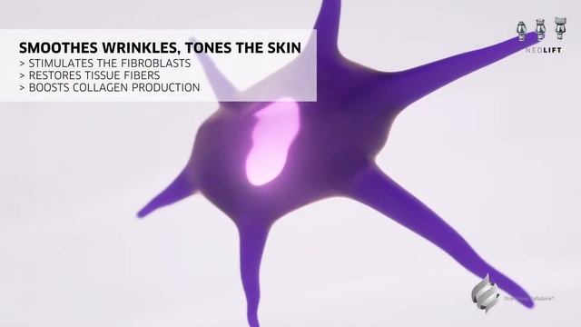 JEUNESSE VISAGE STARVAC смотреть онлайн