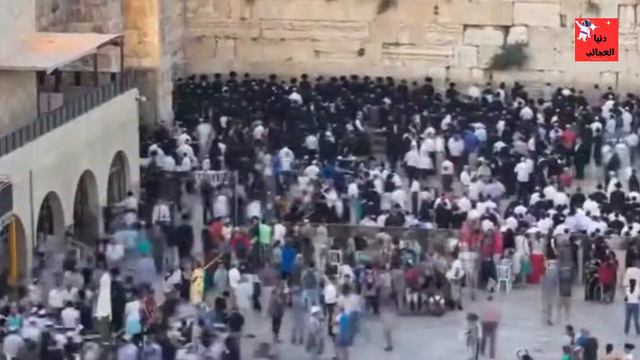 اغرب و أندر الامراض و الاضطرابات النفسية... الجزء الثاني смотреть онлайн