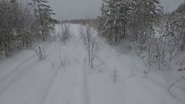 Охота на лося. Часть 2. смотреть онлайн