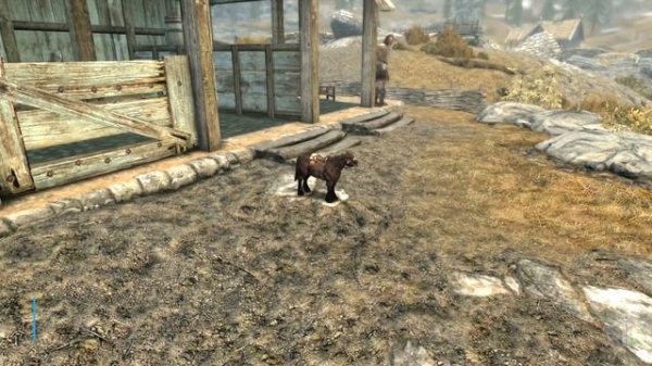 Top 5 Console Mods 2 - Animal Mods - Skyrim Special Edition (XBOX/PC)