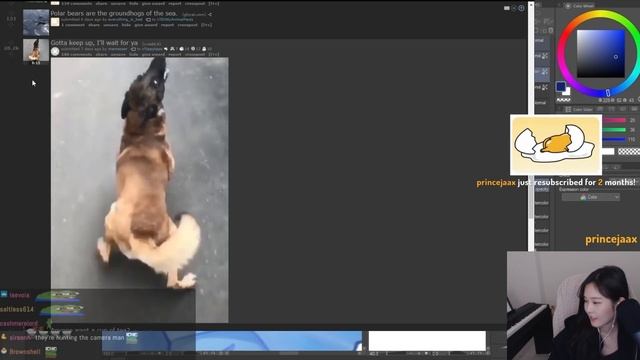 39daph's providing react content once again | special смотреть онлайн