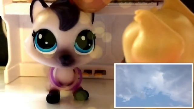 Lps M.V: Я знаю твой телефон смотреть онлайн