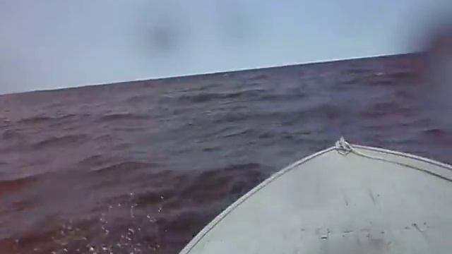 Онежские волны на Прогрессе-4 смотреть онлайн