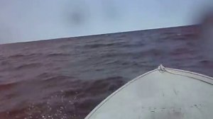 Онежские волны на Прогрессе-4