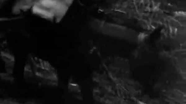 The World At War: It's A Lovely Day Tomorrow Burma 2/5