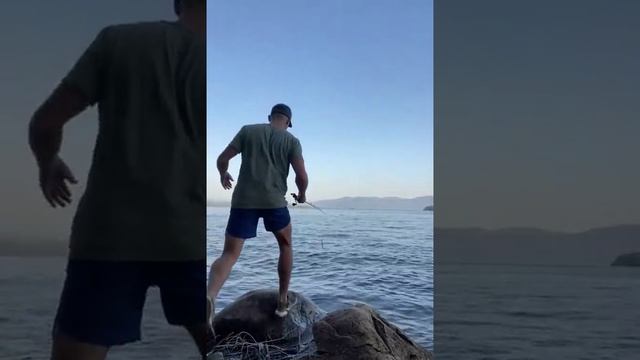 Освежился смотреть онлайн