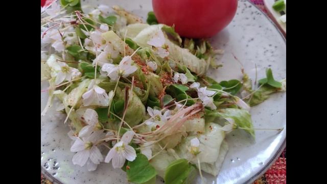 #193 Лимоны не покупаю. Чудо-морс и салат из кислицы смотреть онлайн