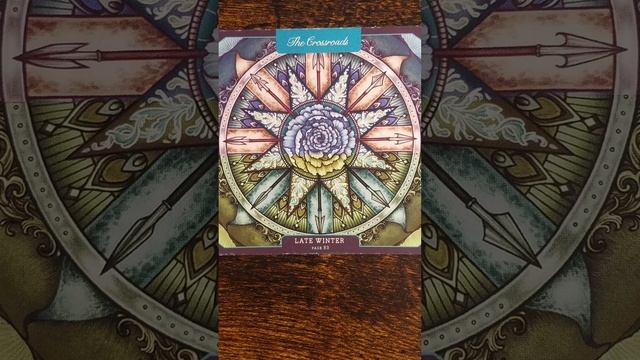 The Crossroads ? Pick a Path ? Wild Wisdom Companion Oracle card meaning смотреть онлайн