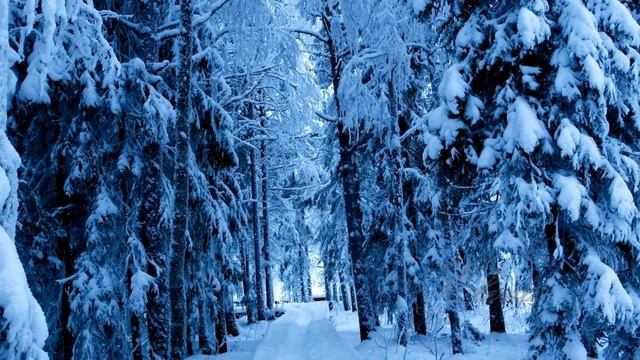 Зима,зимушка смотреть онлайн