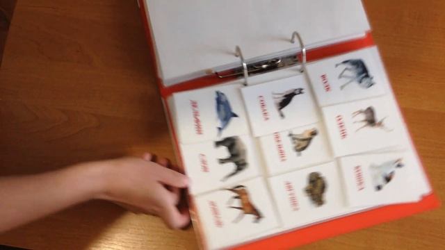 Развивающие альбомы для детей на липучках смотреть онлайн