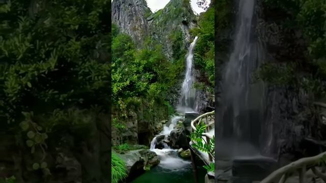 Звуки природы 💚💚💚 смотреть онлайн
