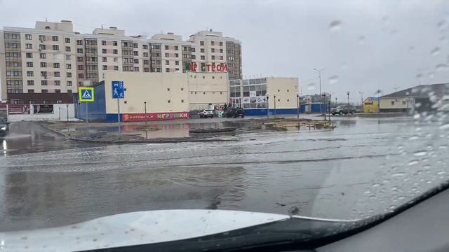 Влог Цены на продукты из Краснодара Узнали насчёт земельного участка для многодетных семей смотреть онлайн