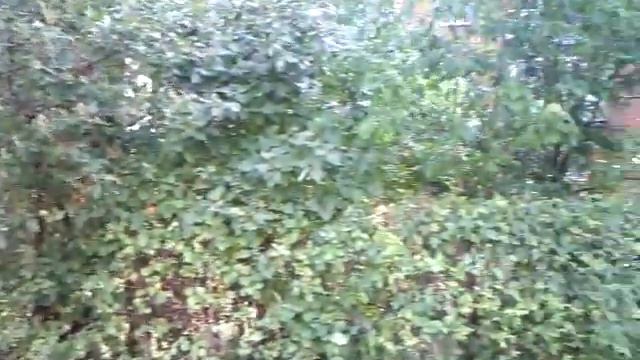 г Подольск, ул Свердлова 30 смотреть онлайн