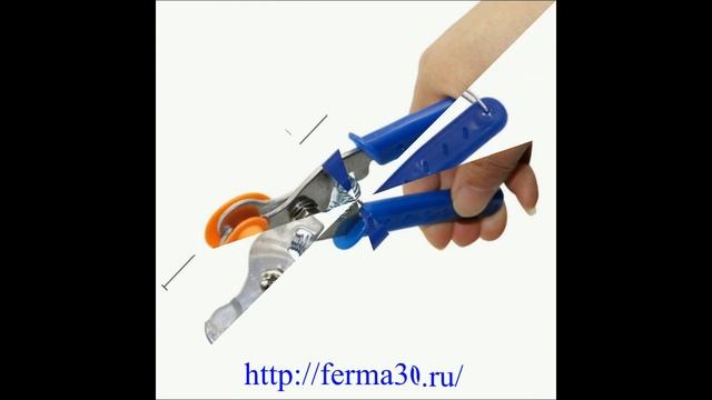 Обрезка ушных бирок щипцами смотреть онлайн