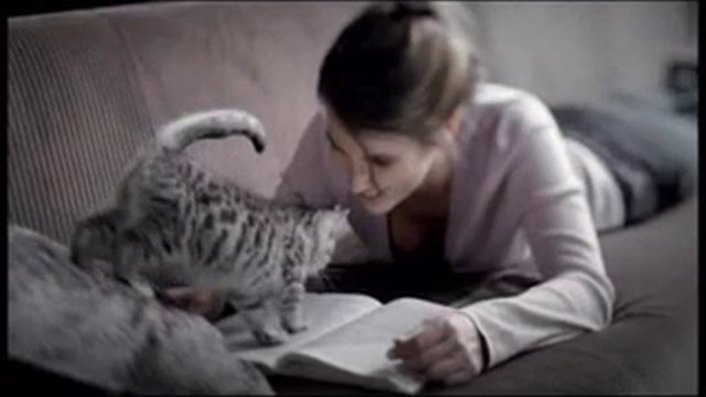 Whiskas - Where's Mommy?